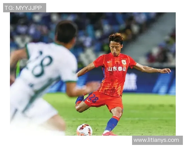 天狼星与延雪平激战正酣比分揭晓引发球迷热议