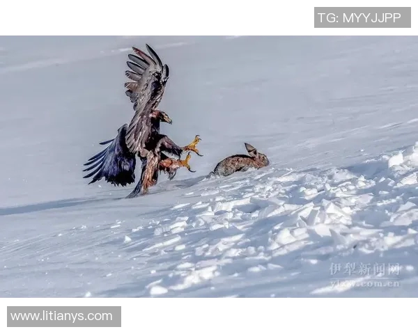 伊犁足球比赛最新动态实时直播精彩瞬间全记录 伊犁足球比赛最新动态实时直播精彩瞬间全记录